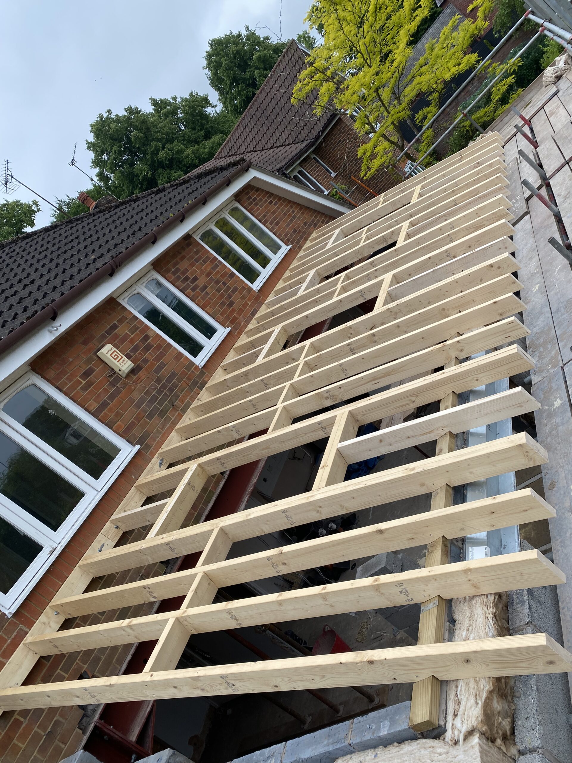 Timber Roof